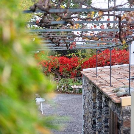 Appartamento Ourmadeira - Loja Da Lenha, Charming Funchal  Esterno foto