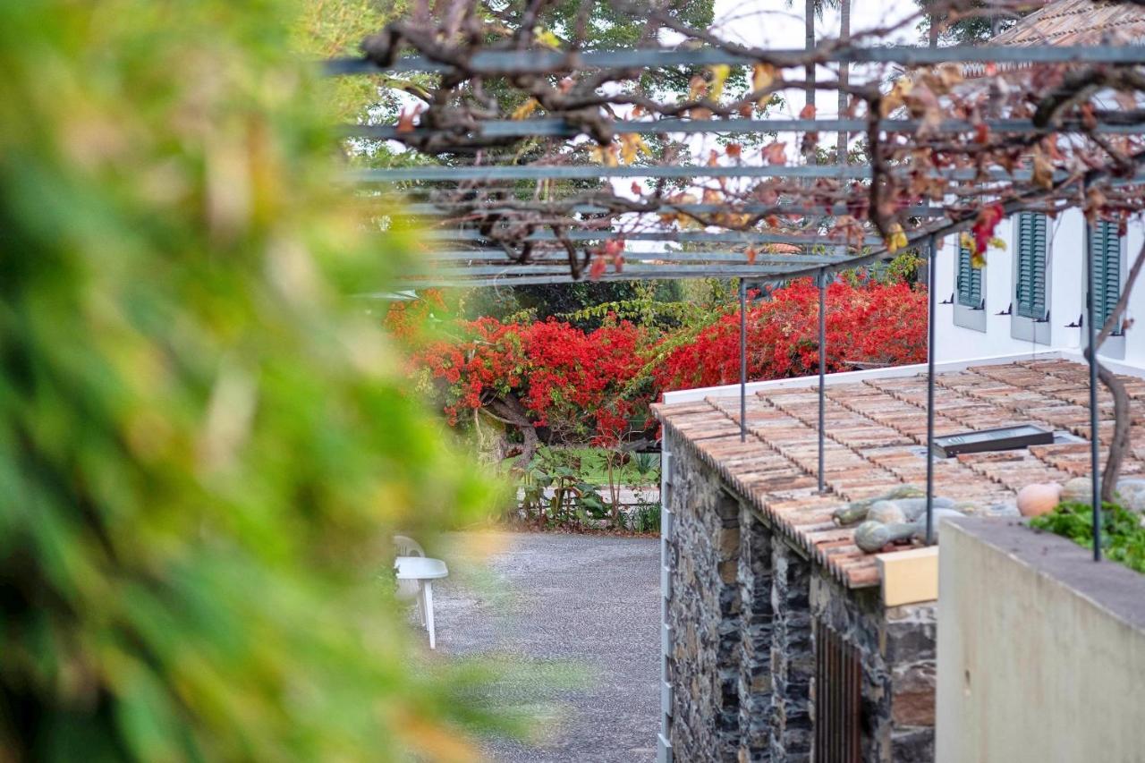 Appartamento Ourmadeira - Loja Da Lenha, Charming Funchal  Esterno foto