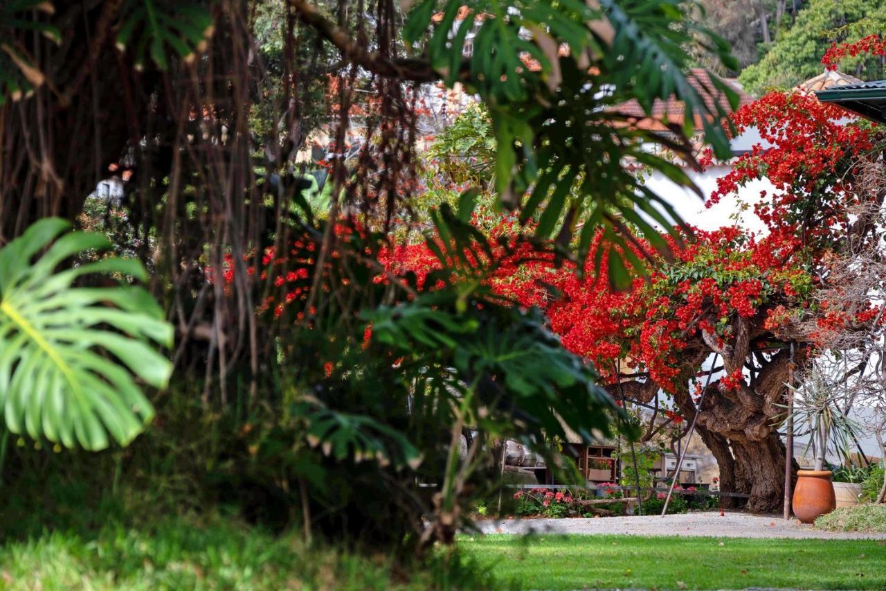Appartamento Ourmadeira - Loja Da Lenha, Charming Funchal  Esterno foto