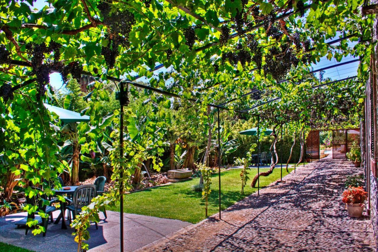 Appartamento Ourmadeira - Loja Da Lenha, Charming Funchal  Esterno foto