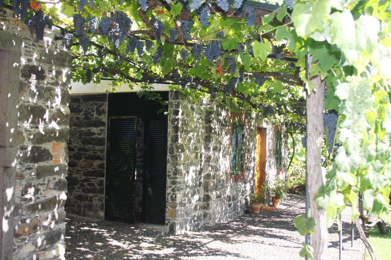Appartamento Ourmadeira - Loja Da Lenha, Charming Funchal  Esterno foto
